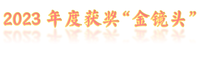 再次荣获《北京市停车管理行业叁级资质》《2023年度优秀会员单位》
